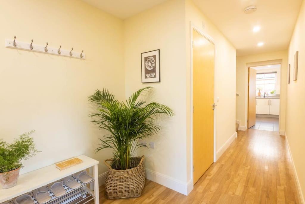 The Wellness Lodge- Gym, Table Tennis, Cinema, Parking And More! Бат Екстер'єр фото